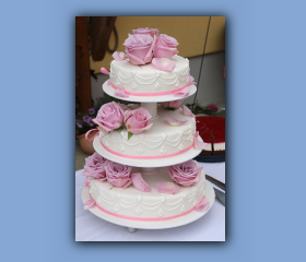 hochzeit2-369.jpg